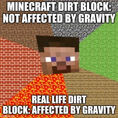 Minecraft Logic V. 1 | MINECRAFT DIRT BLOCK: NOT AFFECTED BY GRAVITY; REAL LIFE DIRT BLOCK: AFFECTED BY GRAVITY | image tagged in minecraft steve | made w/ Imgflip meme maker