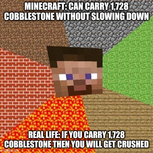 Minecraft Logic V 3 | MINECRAFT: CAN CARRY 1,728 COBBLESTONE WITHOUT SLOWING DOWN; REAL LIFE: IF YOU CARRY 1,728 COBBLESTONE THEN YOU WILL GET CRUSHED | image tagged in minecraft steve,so true memes,memes | made w/ Imgflip meme maker