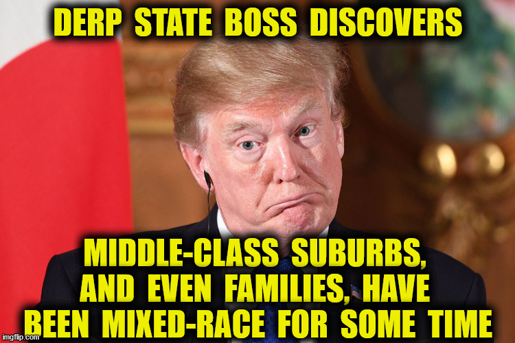 Suburban Scare Tactics | DERP  STATE  BOSS  DISCOVERS; MIDDLE-CLASS  SUBURBS,  AND  EVEN  FAMILIES,  HAVE  BEEN  MIXED-RACE  FOR  SOME  TIME | image tagged in trump,suburban women,scare tactic,racist,memes,2020 | made w/ Imgflip meme maker