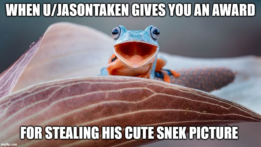 WHEN U/JASONTAKEN GIVES YOU AN AWARD; FOR STEALING HIS CUTE SNEK PICTURE | made w/ Imgflip meme maker