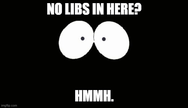 eyes in the dark | NO LIBS IN HERE? HMMH. | image tagged in eyes in the dark | made w/ Imgflip meme maker