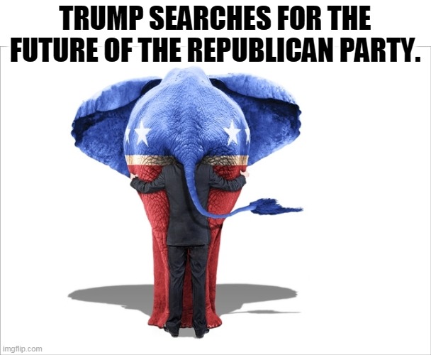 There is none. | TRUMP SEARCHES FOR THE FUTURE OF THE REPUBLICAN PARTY. | image tagged in trump,gop,republican party,future,none | made w/ Imgflip meme maker