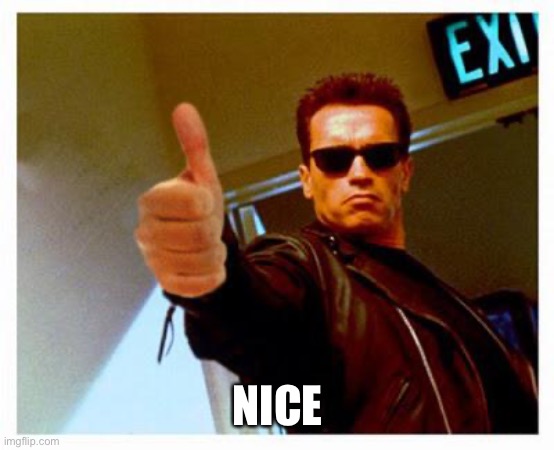 terminator thumbs up | NICE | image tagged in terminator thumbs up | made w/ Imgflip meme maker