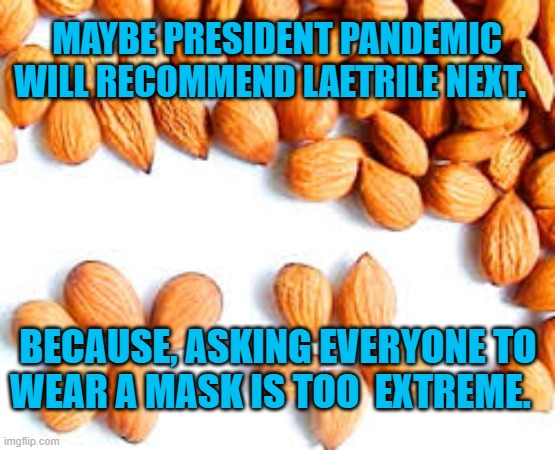 Medical Advice From President Pandemic | MAYBE PRESIDENT PANDEMIC WILL RECOMMEND LAETRILE NEXT. BECAUSE, ASKING EVERYONE TO WEAR A MASK IS TOO  EXTREME. | image tagged in politics | made w/ Imgflip meme maker
