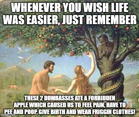 Thanks You Two! | WHENEVER YOU WISH LIFE WAS EASIER, JUST REMEMBER; THESE 2 DUMBASSES ATE A FORBIDDEN APPLE WHICH CAUSED US TO FEEL PAIN, HAVE TO PEE AND POOP, GIVE BIRTH AND WEAR FRIGGIN CLOTHES! | image tagged in adam and eve | made w/ Imgflip meme maker