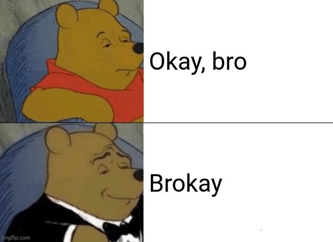 Tuxedo Winnie The Pooh Meme | Okay, bro; Brokay | image tagged in memes,tuxedo winnie the pooh,PewdiepieSubmissions | made w/ Imgflip meme maker