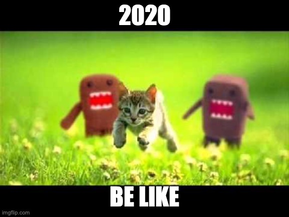 2020 be like | 2020; BE LIKE | image tagged in domokun chasing kitty | made w/ Imgflip meme maker