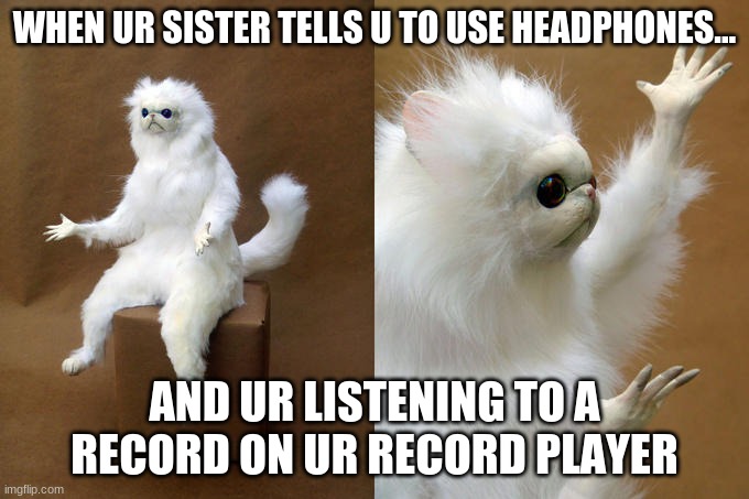 not how it works | WHEN UR SISTER TELLS U TO USE HEADPHONES... AND UR LISTENING TO A RECORD ON UR RECORD PLAYER | image tagged in memes,persian cat room guardian,music,music joke,music meme,playing vinyl records | made w/ Imgflip meme maker