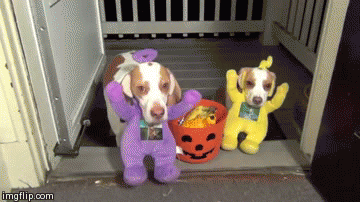 TRICK R TREAT!