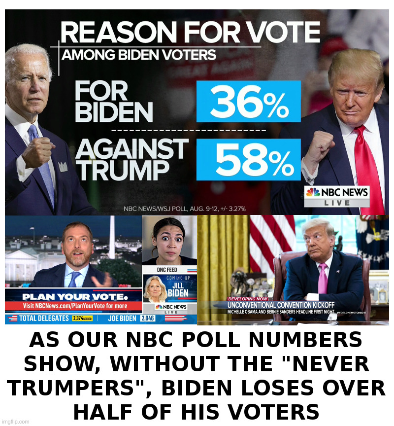 Without "Never Trumpers" Biden Loses Half His Voters | image tagged in nbc,poll,joe biden,donald trump,never trump,voters | made w/ Imgflip meme maker