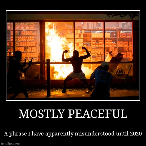 Mostly Peaceful | image tagged in funny,demotivationals,2020,peaceful | made w/ Imgflip demotivational maker