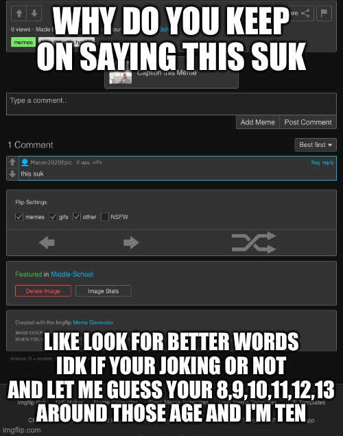 WHY DO YOU KEEP ON SAYING THIS SUK; LIKE LOOK FOR BETTER WORDS IDK IF YOUR JOKING OR NOT AND LET ME GUESS YOUR 8,9,10,11,12,13 AROUND THOSE AGE AND I'M TEN | made w/ Imgflip meme maker