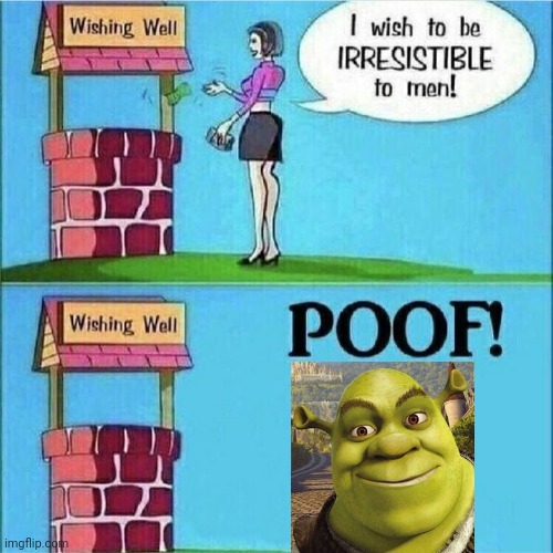 I wish to be irresistible to men | image tagged in i wish to be irresistible to men,shrek,memes,funny | made w/ Imgflip meme maker