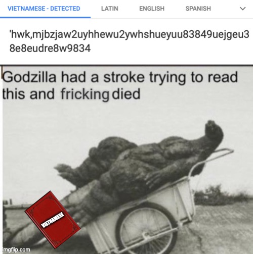 VIETNAMESE | image tagged in godzilla had a stroke trying to read this and fricking died | made w/ Imgflip meme maker