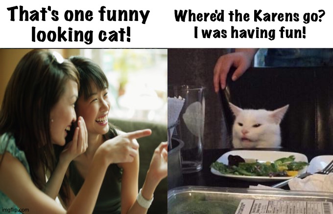The cat not laughing | That's one funny 
looking cat! Where'd the Karens go?
I was having fun! | image tagged in asian women laughing | made w/ Imgflip meme maker