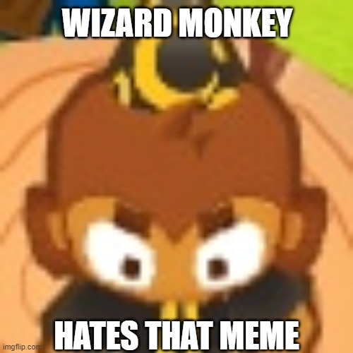 BTD 6 meme | WIZARD MONKEY; HATES THAT MEME | image tagged in monkeys | made w/ Imgflip meme maker
