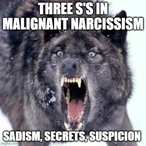 Angry Wolf | THREE S'S IN MALIGNANT NARCISSISM; SADISM, SECRETS, SUSPICION | image tagged in angry wolf | made w/ Imgflip meme maker