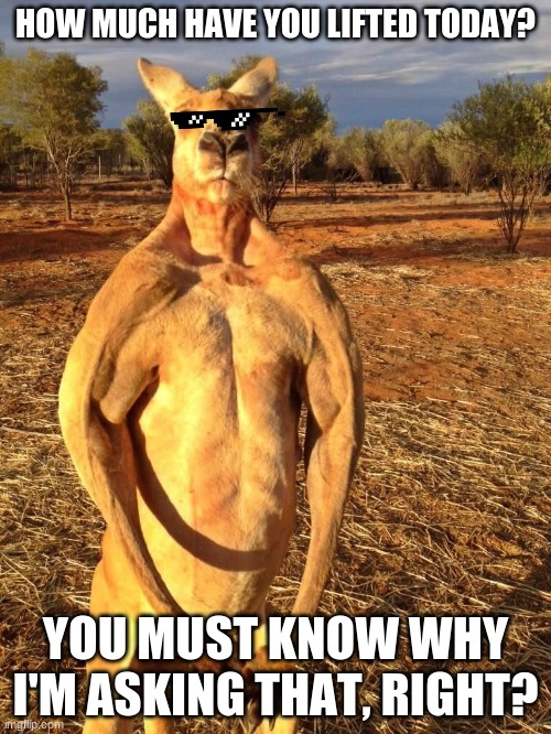 Competition is about to begin... | HOW MUCH HAVE YOU LIFTED TODAY? YOU MUST KNOW WHY I'M ASKING THAT, RIGHT? | image tagged in buff kangaroo,memes | made w/ Imgflip meme maker