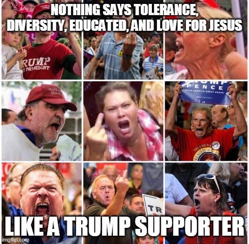 Trump supporters - Only the Best | NOTHING SAYS TOLERANCE, DIVERSITY, EDUCATED, AND LOVE FOR JESUS; LIKE A TRUMP SUPPORTER | image tagged in donald trump,trump supporters,republicans,jesus | made w/ Imgflip meme maker