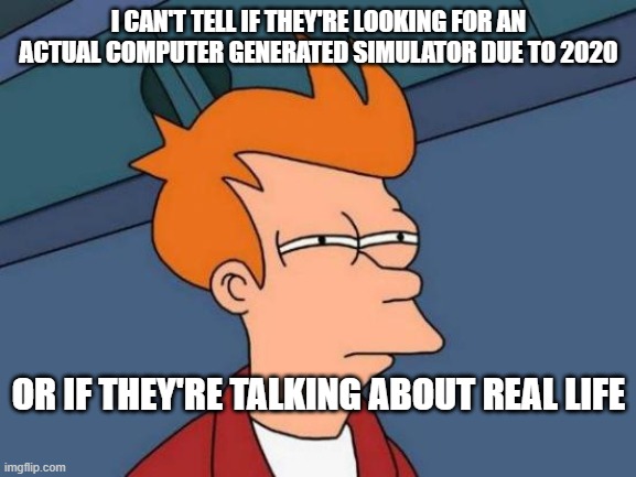 Futurama Fry Meme | I CAN'T TELL IF THEY'RE LOOKING FOR AN ACTUAL COMPUTER GENERATED SIMULATOR DUE TO 2020; OR IF THEY'RE TALKING ABOUT REAL LIFE | image tagged in memes,futurama fry | made w/ Imgflip meme maker