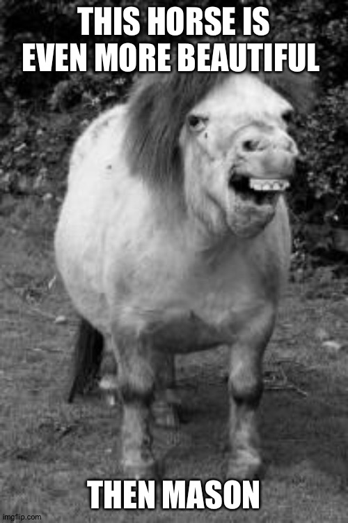 ugly horse | THIS HORSE IS EVEN MORE BEAUTIFUL; THEN MASON | image tagged in ugly horse | made w/ Imgflip meme maker