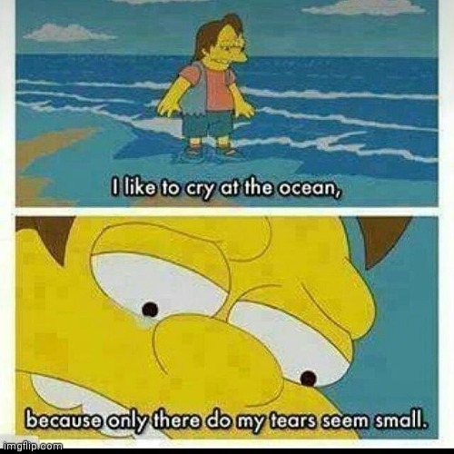 image tagged in i like to cry at the ocean | made w/ Imgflip meme maker