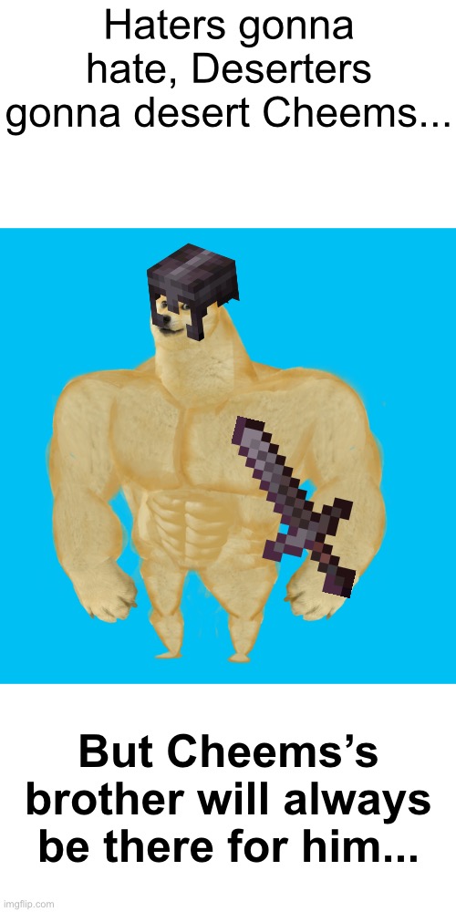Cheems in the End Part 2 | Haters gonna hate, Deserters gonna desert Cheems... But Cheems’s brother will always be there for him... | image tagged in memes,minecraft | made w/ Imgflip meme maker