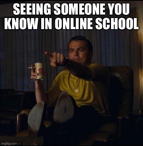 It’s true | SEEING SOMEONE YOU KNOW IN ONLINE SCHOOL | image tagged in leonardo dicaprio pointing,memes,funny memes,meme review | made w/ Imgflip meme maker