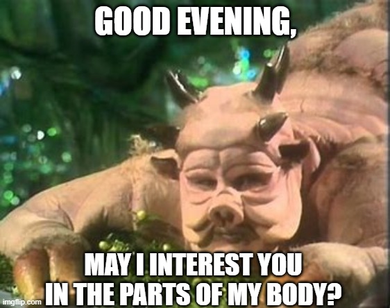 GOOD EVENING, MAY I INTEREST YOU IN THE PARTS OF MY BODY? | made w/ Imgflip meme maker