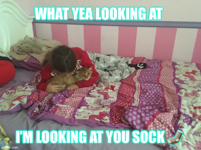 Oliver vs Sock | WHAT YEA LOOKING AT; I’M LOOKING AT YOU SOCK 🧦 | image tagged in cats,sock | made w/ Imgflip meme maker