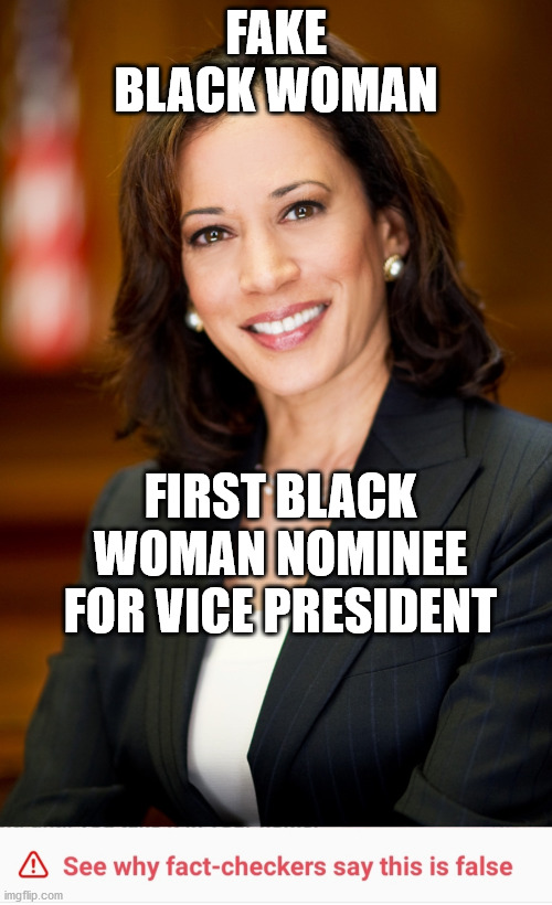 Fake Black | FAKE BLACK WOMAN; FIRST BLACK WOMAN NOMINEE FOR VICE PRESIDENT | image tagged in kamala harris,see why fact checkers say this is false | made w/ Imgflip meme maker