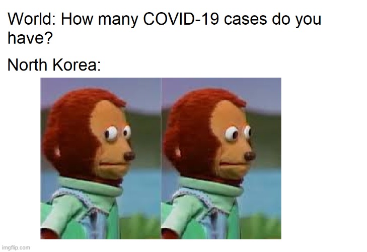 North Korea no covid | image tagged in coronavirus,north korea,monkey puppet | made w/ Imgflip meme maker