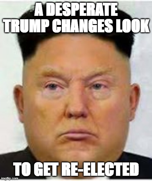 Dictator Donald? | A DESPERATE TRUMP CHANGES LOOK; TO GET RE-ELECTED | image tagged in ou817 | made w/ Imgflip meme maker