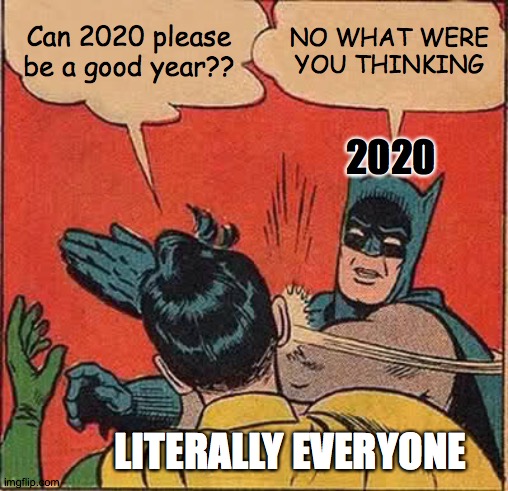 Batman Slapping Robin Meme | Can 2020 please be a good year?? NO WHAT WERE YOU THINKING; 2020; LITERALLY EVERYONE | image tagged in memes,batman slapping robin | made w/ Imgflip meme maker