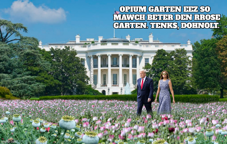 image tagged in rose garden,opium,drugs,war on drugs,white house,melania trump | made w/ Imgflip meme maker