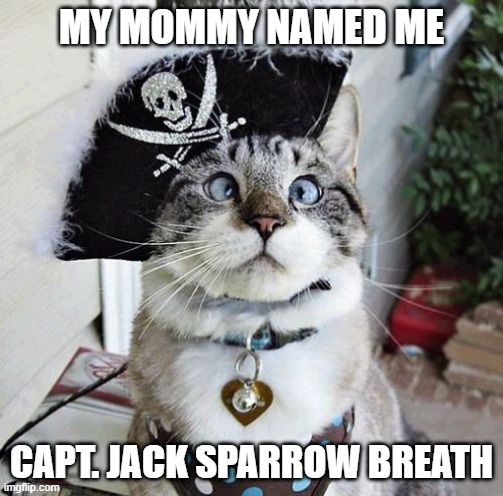 Johnny Who? | MY MOMMY NAMED ME; CAPT. JACK SPARROW BREATH | image tagged in memes,spangles | made w/ Imgflip meme maker