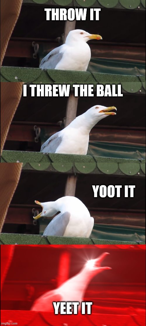 Inhaling Seagull Meme | THROW IT; I THREW THE BALL; YOOT IT; YEET IT | image tagged in memes,inhaling seagull | made w/ Imgflip meme maker