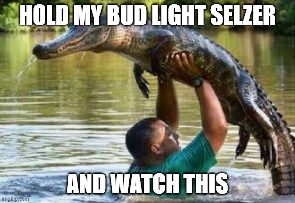 Bud Light Selzer |  HOLD MY BUD LIGHT SELZER; AND WATCH THIS | image tagged in memes,hold my beer | made w/ Imgflip meme maker