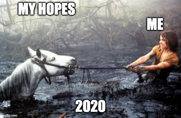 Artax in 2020 | MY HOPES                                                                                     ME; 2020 | image tagged in artax dies | made w/ Imgflip meme maker