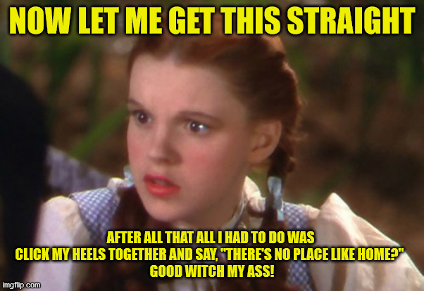 Good Witch My Ass | NOW LET ME GET THIS STRAIGHT; AFTER ALL THAT ALL I HAD TO DO WAS 
CLICK MY HEELS TOGETHER AND SAY, "THERE'S NO PLACE LIKE HOME?"  
GOOD WITCH MY ASS! | image tagged in wizard of oz,dorothy,toto,wicked witch | made w/ Imgflip meme maker