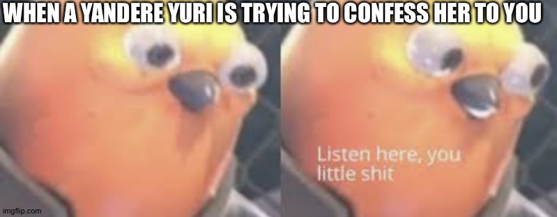 Listen here you little shit bird | WHEN A YANDERE YURI IS TRYING TO CONFESS HER TO YOU | image tagged in listen here you little shit bird | made w/ Imgflip meme maker