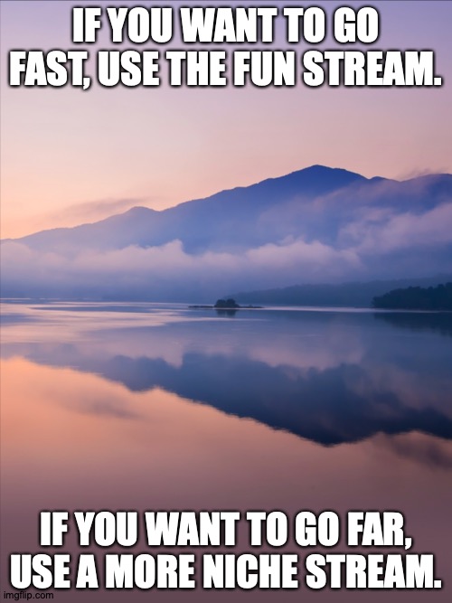 Laughrican Proverb | IF YOU WANT TO GO FAST, USE THE FUN STREAM. IF YOU WANT TO GO FAR, USE A MORE NICHE STREAM. | image tagged in memes,words of wisdom,fun,other | made w/ Imgflip meme maker
