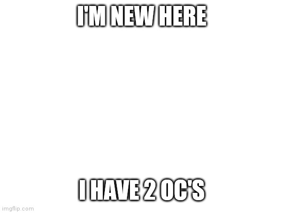 Hello | I'M NEW HERE; I HAVE 2 OC'S | image tagged in blank white template | made w/ Imgflip meme maker