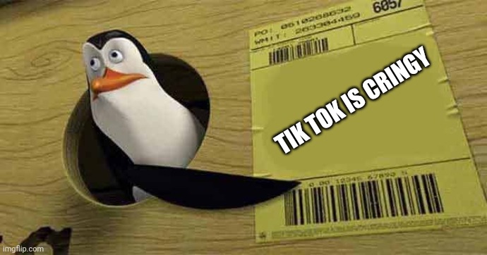 Penguin pointing at sign | TIK TOK IS CRINGY | image tagged in penguin,penguins of madagascar | made w/ Imgflip meme maker