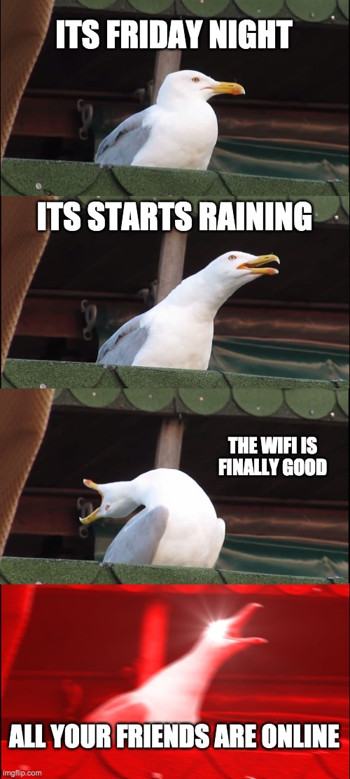 Inhaling Seagull Meme | ITS FRIDAY NIGHT; ITS STARTS RAINING; THE WIFI IS FINALLY GOOD; ALL YOUR FRIENDS ARE ONLINE | image tagged in memes,inhaling seagull | made w/ Imgflip meme maker