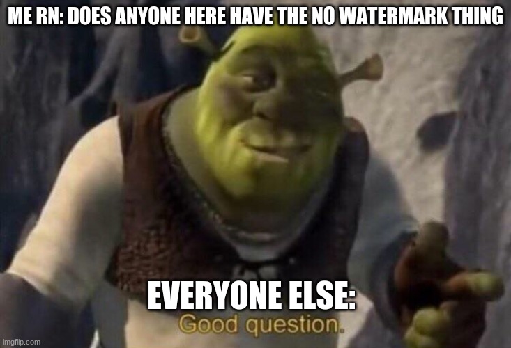 seriously | ME RN: DOES ANYONE HERE HAVE THE NO WATERMARK THING; EVERYONE ELSE: | image tagged in shrek good question | made w/ Imgflip meme maker
