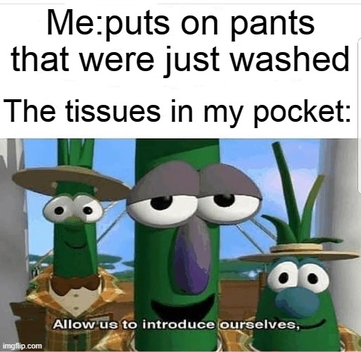 Allow us to introduce ourselves | Me:puts on pants that were just washed; The tissues in my pocket: | image tagged in allow us to introduce ourselves,memes,funny | made w/ Imgflip meme maker