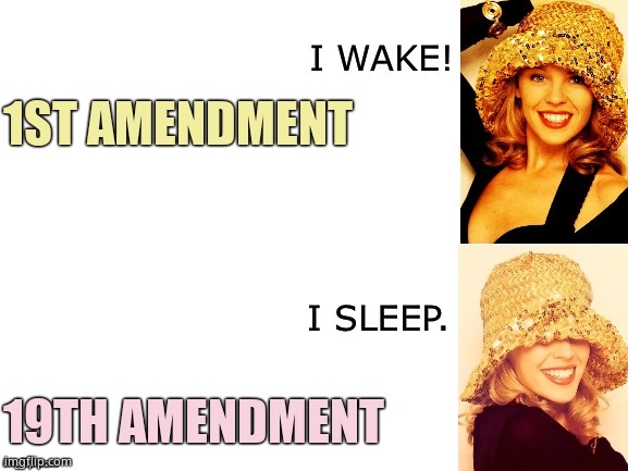 Kylie I wake/I sleep | 1ST AMENDMENT 19TH AMENDMENT | image tagged in kylie i wake/i sleep | made w/ Imgflip meme maker