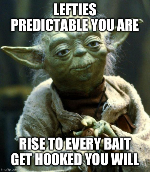 Saw this in a comment with embellishments | LEFTIES PREDICTABLE YOU ARE; RISE TO EVERY BAIT
GET HOOKED YOU WILL | image tagged in memes,star wars yoda | made w/ Imgflip meme maker