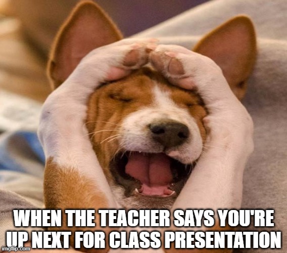 Class Presentation | WHEN THE TEACHER SAYS YOU'RE UP NEXT FOR CLASS PRESENTATION | image tagged in funny | made w/ Imgflip meme maker